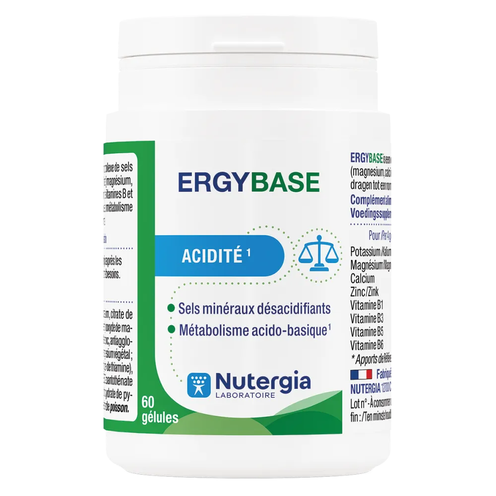 ERGYBASE