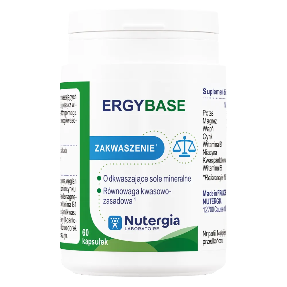 ERGYBASE