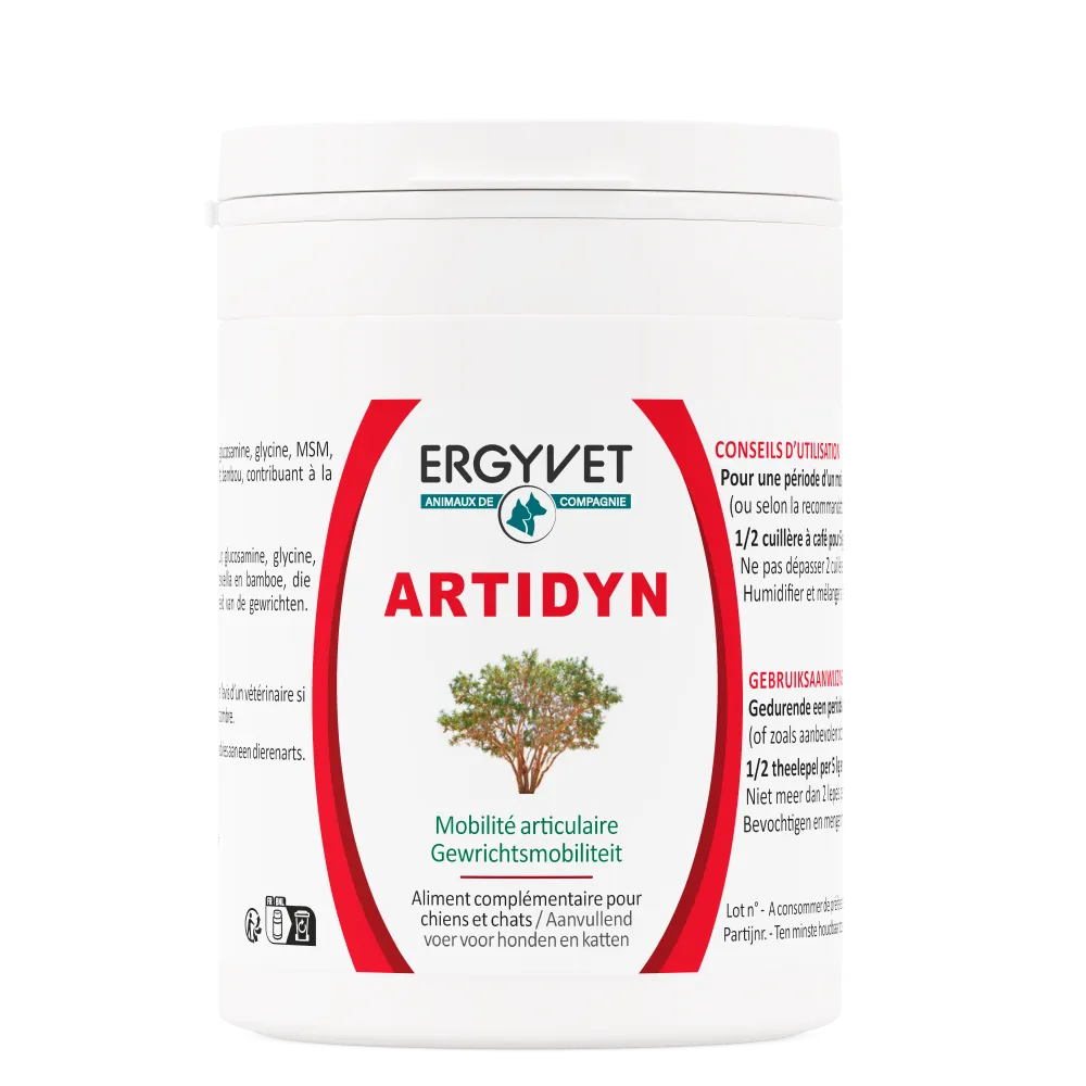 ARTIDYN