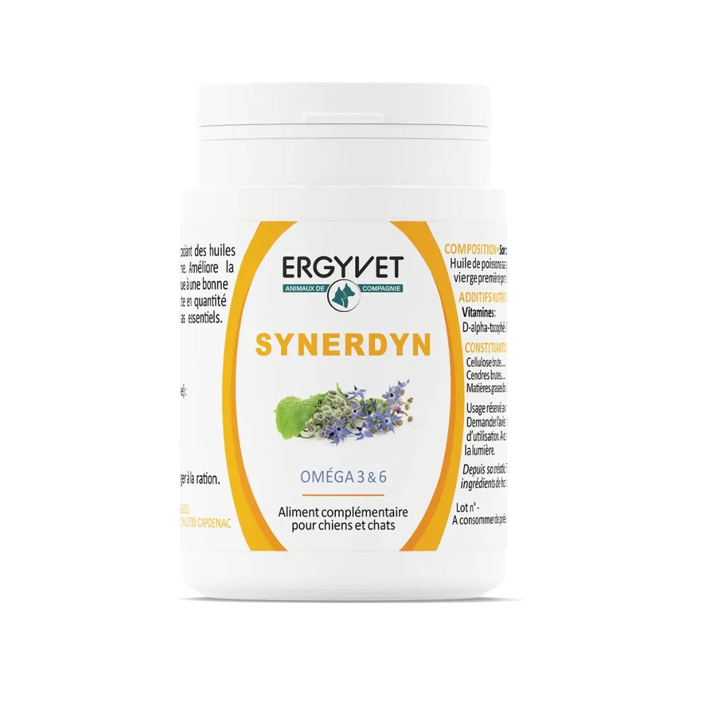 SYNERDYN